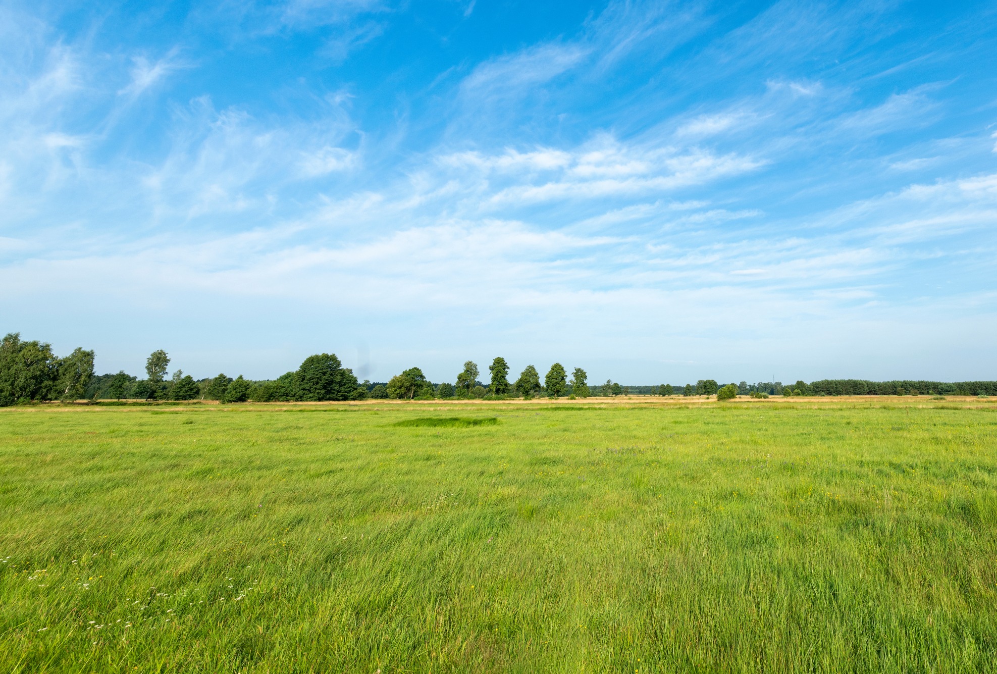 greenfield transformation migration s/4hana